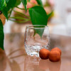42244 Набор стопок для ликёра и водки (SYLVANA)
