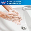 Жидкое мыло "SAFEGUARD" с антибактериальным эффектом Классическое ослепительно белое 225 мл