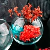 43417 Ваза (FLORA)