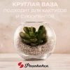 43417 Ваза (FLORA)