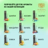 Аромадиффузор "AVRORA HOME PERFUME" «PINE» 100 мл